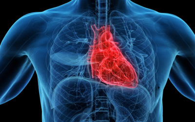 Genauer hinschauen lohnt sich – Frühe Herz-CT verhindert Herzinfarkte