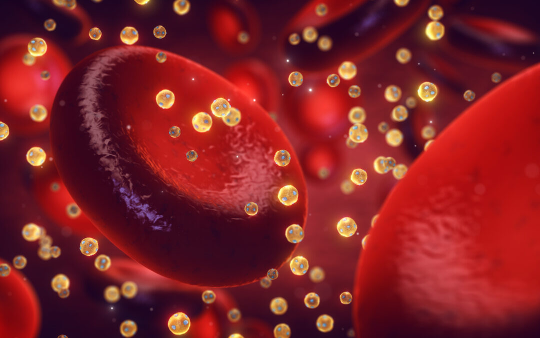 Lipoprotein(a): Der unterschätzte Risikofaktor für Herz und Gefäße – Artikel Seetaler Bote