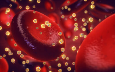 Lipoprotein(a): Der unterschätzte Risikofaktor für Herz und Gefäße – Artikel Seetaler Bote